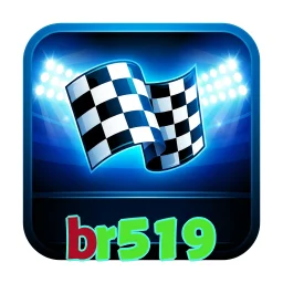 br519