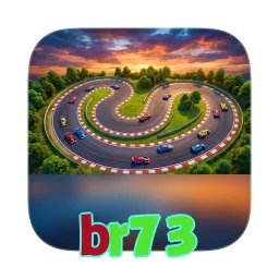 br73
