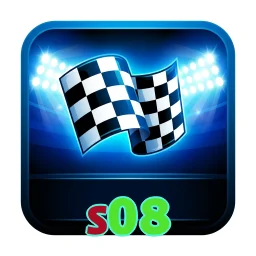 s08